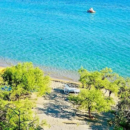 Downtown Deluxe Omis